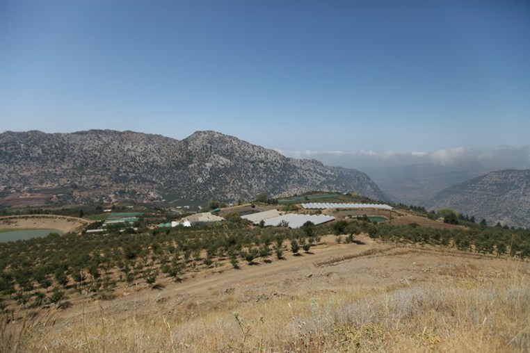 Media Day at Doctor Nizar Younes Ranch